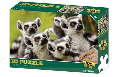 Puzzle 3D Lemui