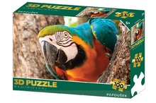 Puzzle 3D Papouek